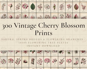 300 Vintage Cherry Blossom Prints | Sakura, Spring Bough & Flowering Branch Botanical Wall Art Set | Printable | Digital Download