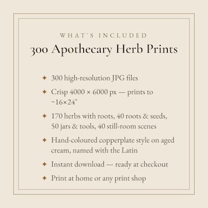 Puede incluir: Un gr&aacute;fico informativo titulado 300 Apothecary Herb Prints sobre un fondo crema. Enumera 300 archivos JPG de alta resoluci&oacute;n, dimensiones de 4000 x 6000 px para impresiones de ~40x60 cm, 170 hierbas, 40 ra&iacute;ces y semillas, 50 frascos y herramientas.