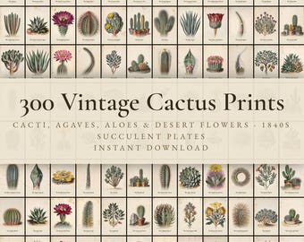 300 Vintage Cactus Prints | Agave, Aloe, Desert Botanical & Succulent Wall Art Set | Southwest Printable | Digital Download