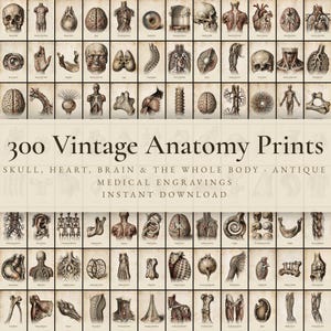 May include: A collection of 300 vintage anatomy prints featuring antique medical engravings of skulls, hearts, brains, and human body parts. The grid displays sepia-toned illustrations with text labels, including the title 300 Vintage Anatomy Prints.