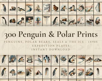 300 Vintage Penguin and Polar Prints | Arctic Fox, Polar Bear, Seal, Whale & Ice Expedition Wall Art Set | Nursery Printable | Download