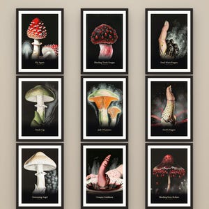 K&ouml;nnte beinhalten: Ein Set aus neun gerahmten botanischen Kunstdrucken, die verschiedene Pilze auf schwarzem Hintergrund zeigen. Jeder Druck enth&auml;lt eine detaillierte Illustration eines Pilzes mit dem Namen in wei&szlig;er Schrift am unteren Rand.