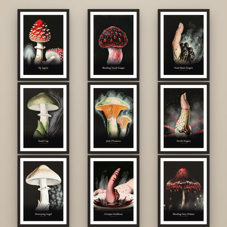 K&ouml;nnte beinhalten: Ein Set aus neun gerahmten botanischen Kunstdrucken, die verschiedene Pilze auf schwarzem Hintergrund zeigen. Jeder Druck enth&auml;lt eine detaillierte Illustration eines Pilzes mit dem Namen in wei&szlig;er Schrift am unteren Rand.