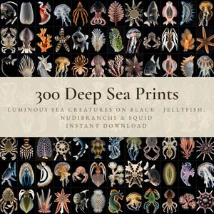 以下が含まれることがあります： 深海生物のプリント300点デジタルコレクション。黒い背景にクラゲ、ウミウシ、イカなどの発光する海洋生物が描かれています。テキストには「300 Deep Sea Prints, Luminous Sea Creatures on Black, Jellyfish, Nudibranchs & Squid, Instant Download」と記載されています。