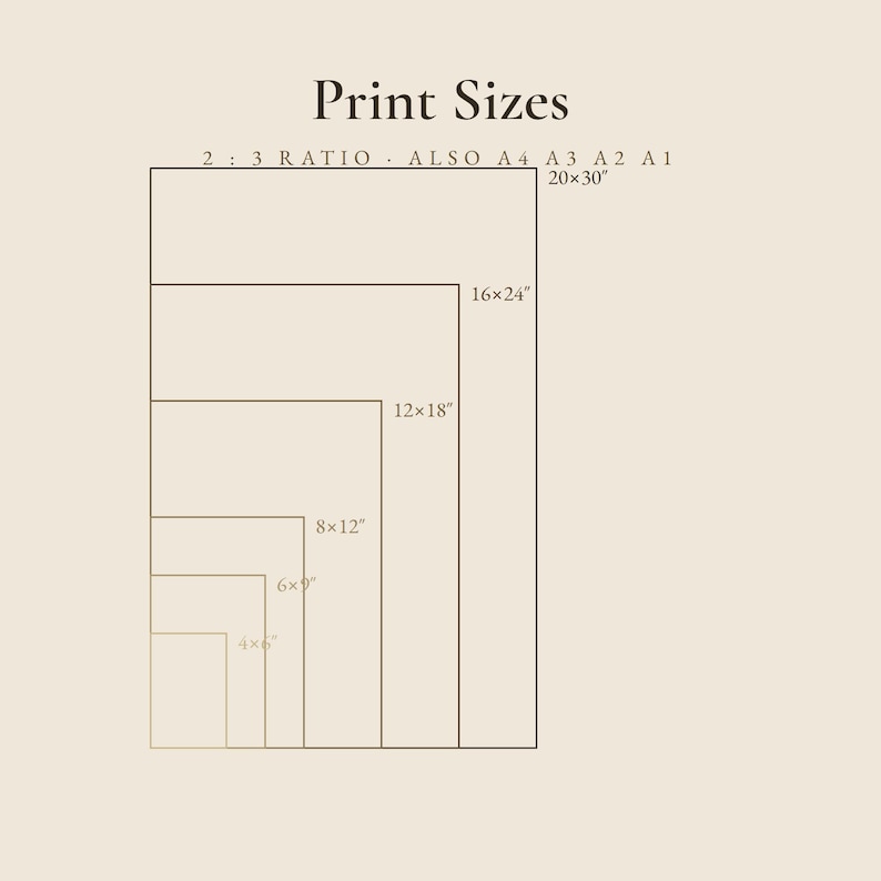 以下が含まれることがあります： Print Sizesと題されたベージュの案内図で、2:3の比率とA判用紙サイズが表示されています。図には、4x6、6x9、8x12、12x18、16x24、20x30インチの寸法が記された入れ子状の長方形が描かれています。