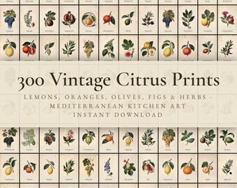 Op de afbeelding: Een collectie van 300 vintage botanische prints met illustraties van citroenen, sinaasappels, olijven, vijgen en kruiden. De rasterindeling toont diverse vruchten en planten op verouderd papier met de tekst 300 Vintage Citrus Prints.