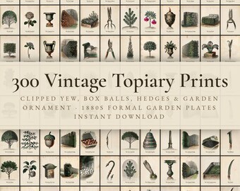 300 Vintage Topiary Prints | Clipped Yew, Box Ball & Formal Garden Form Wall Art Set | Printable | Digital Download