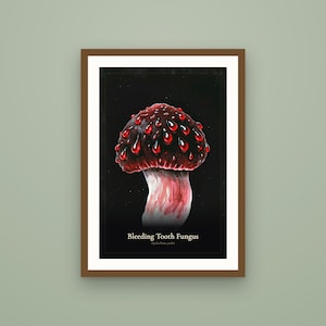 K&ouml;nnte beinhalten: Ein gerahmter Kunstdruck mit einer dunklen, detaillierten Illustration eines Pilzes mit einem tiefroten, strukturierten Hut, der mit leuchtend roten Tropfen bedeckt ist. Der Text "Bleeding Tooth Fungus" und "Hydnellum peckii" steht in Wei&szlig; unten.