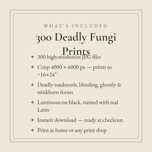 K&ouml;nnte beinhalten: Eine digitale Informationsgrafik mit dem Titel 300 Deadly Fungi Prints. Sie listet 300 hochaufl&ouml;sende JPG-Dateien mit 4000 x 6000 px auf, druckbar bis ca. 40 x 60 cm. Merkmale sind t&ouml;dliche Pilze, blutende, geisterhafte und Stinkmorchelformen, leuchtend auf Schwarz, mit lateinischen Namen, Sofort-Download und Druckoptionen f&uuml;r zu Hause oder im Laden.