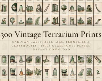 300 Vintage Terrarium Prints | Wardian Case, Bell Jar & Victorian Glasshouse Wall Art Set | Printable | Digital Download
