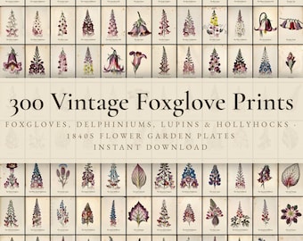 300 Vintage Foxglove Prints | Delphinium, Hollyhock, Lupin & Cottage Garden Spire Wall Art Set | Printable | Digital Download