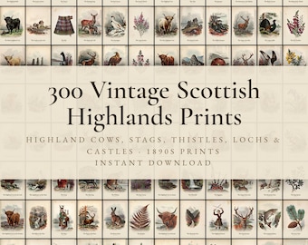 300 Vintage Scottish Highlands Prints | Highland Cow, Stag, Thistle, Loch & Castle Wall Art Set | Scotland Printable | Digital Download