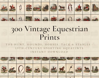 300 Vintage Equestrian Prints | Fox Hunt, Hounds, Hunter Horses & Stable Wall Art Set | Old Money Sporting Printable | Digital Download