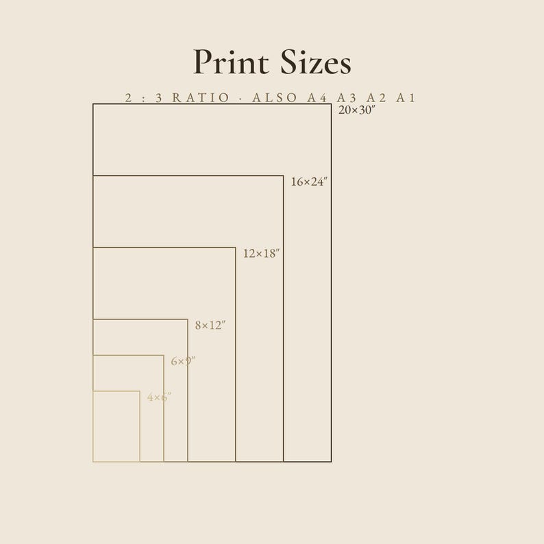 Op de afbeelding: Een beige informatietabel met de titel Print Sizes die een 2:3-verhouding weergeeft met afmetingen in inches, waaronder 4x6, 6x9, 8x12, 12x18, 16x24 en 20x30. De afbeelding vermeldt ook A4, A3, A2 en A1 als alternatieve papierformaten.