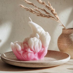 Peut inclure: Une bougie sculpturale en forme de croissant de lune ornée de textures florales détaillées. La cire passe d'un rose tendre à la base à un blanc crème au sommet, avec une mèche centrale unique dépassant de la courbe supérieure.