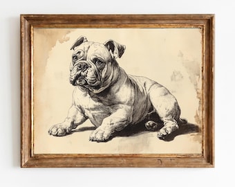 Vintage Bulldoge liegend Federzeichnung - Antike Hundeportrait, rustikale Bibliothek Wandkunst, druckbare digitale Download 1490