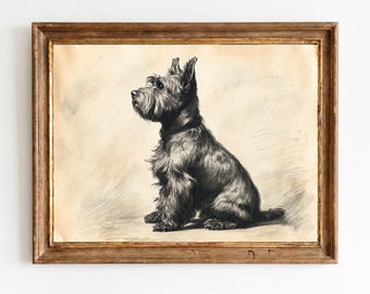 Antike Scottish Terrier Skizze - Vintage Hunde Portrait Druck, Klassische Stift Tinte Tierkunst, Rustikales Bauernhaus druckbare Download 1532