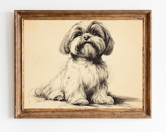 Antike Feder und Tinte Shih Tzu Skizze - Vintage Hundeporträt, Klassische Haustierwandkunst, Rustikale Tierzeichnung, druckbarer digitaler Download 1534