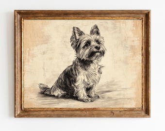 Antike Feder und Tinte Yorkshire Terrier Porträt, Vintage Hund Skizze, Bauernhaus Wandkunst, druckbare digitale Download 1539