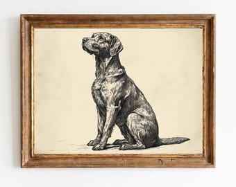 Chesapice Bay Retriever Porträt - Vintage Federskizze, stimmungsvolle Hundekunst, rustikale Bauernhausdekoration, druckbarer digitaler Download 1494