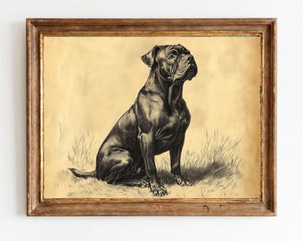 Antike Cane Corso Skizze - Vintage Hundeportrait, mutige Federzeichnung, rustikale Bauernhaus Wandkunst, druckbare digitale Download 1491