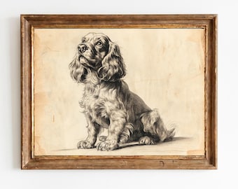 Cocker Spaniel Federzeichnung - Vintage Hund Portrait, rustikale antike Zeichnung, druckbare Wandkunst, digitaler Download 1495