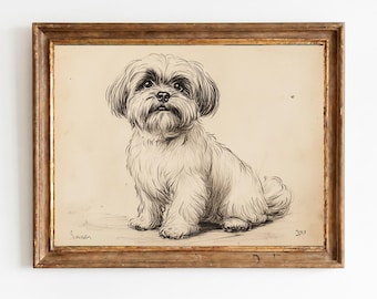 Vintage Shih Tzu Portrait Federzeichnung - Antiker Hund Zeichnung, druckbare Tier Wandkunst, klassisches Haustier Dekor, digitaler Download 1533