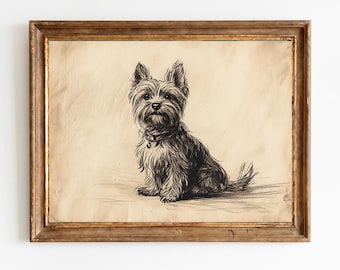 Vintage Pen und Ink Yorkshire Terrier Skizze, antike Hundeporträtwandkunst, rustikale Bauernhausdekor, druckbare digitaler Download 1540