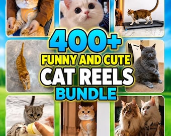 Bundel 400+ grappige kattenhaspels | Schattige kittenclips | Contentpakket voor sociale media