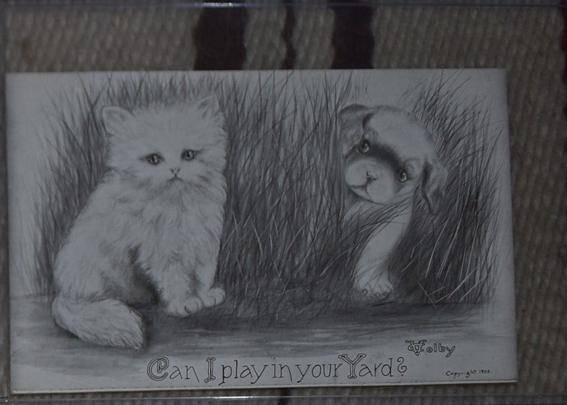 May include: A black and white drawing of a cat and a puppy peeking out from behind tall grass. The text "Can I play in your yard?" is written below the image.