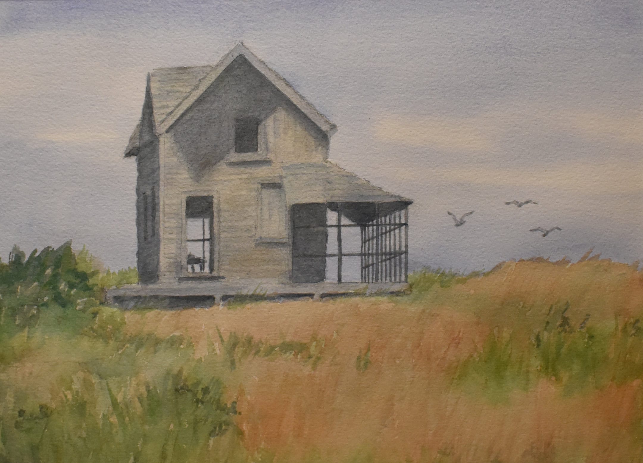 Old house painting deals