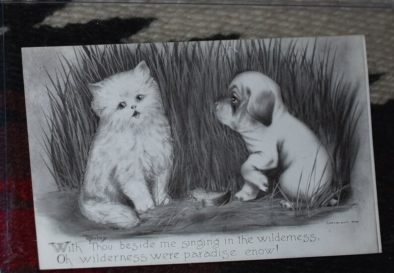 May include: Black and white illustration of a white cat and a brown puppy sitting in tall grass. The cat is looking at the puppy, and the puppy is looking away. The text "With Thou beside me singing in the wilderness. Oh wilderness were paradise enow!" is printed below the image.
