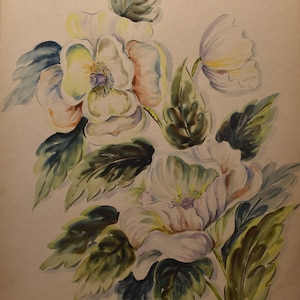 vintage roses    art   watercolors of wild pink white  roses pair