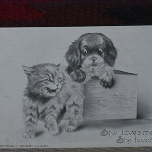 May include: A vintage black and white postcard depicting a kitten and a puppy. The kitten is gazing at the puppy with its mouth open. The puppy is perched on a wooden box, looking directly at the viewer. The text on the postcard reads "She loves me, She loves me not."