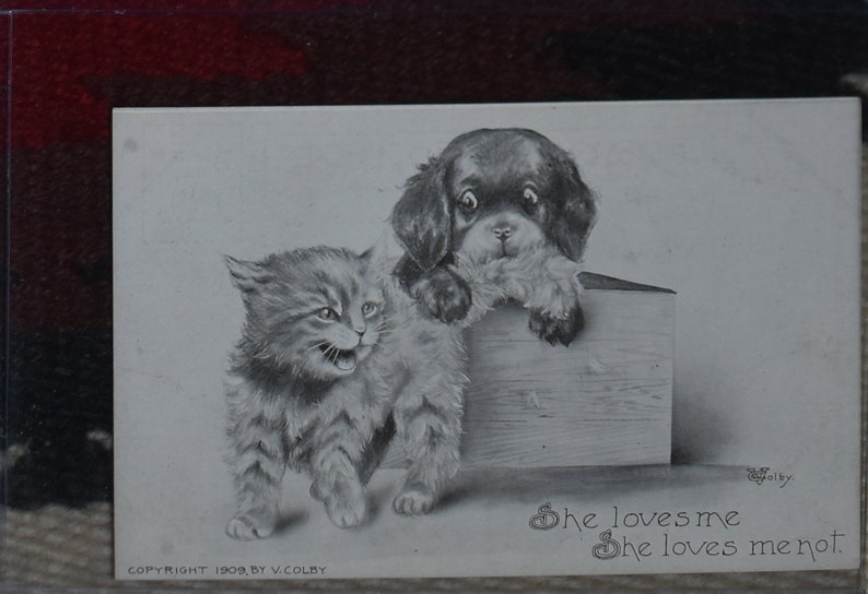 May include: A vintage black and white postcard depicting a kitten and a puppy. The kitten is gazing at the puppy with its mouth open. The puppy is perched on a wooden box, looking directly at the viewer. The text on the postcard reads "She loves me, She loves me not."