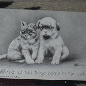 May include: Black and white vintage postcard featuring a cat and a dog sitting together. The caption reads "We're afraid to go home in the dark."