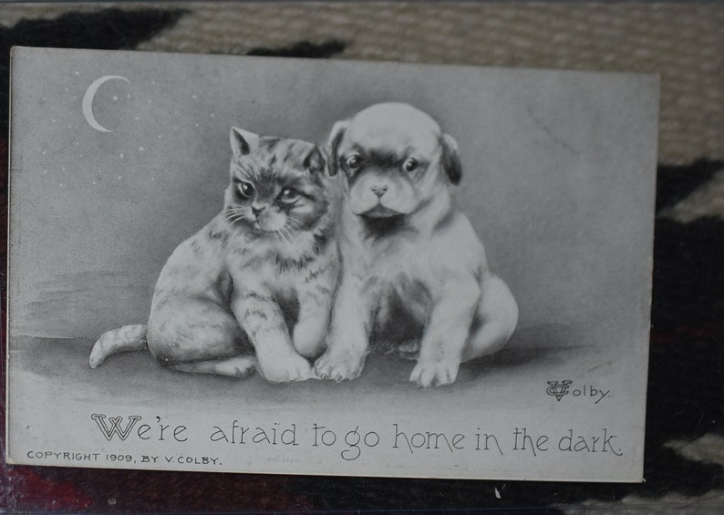 May include: Black and white vintage postcard featuring a cat and a dog sitting together. The caption reads "We're afraid to go home in the dark."