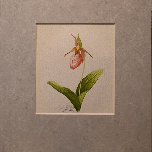 Vintage shops art of wildflowers art two purple white flowers watercolor of flowers lily of the valley forget-me-nots pink lady sleeper signed