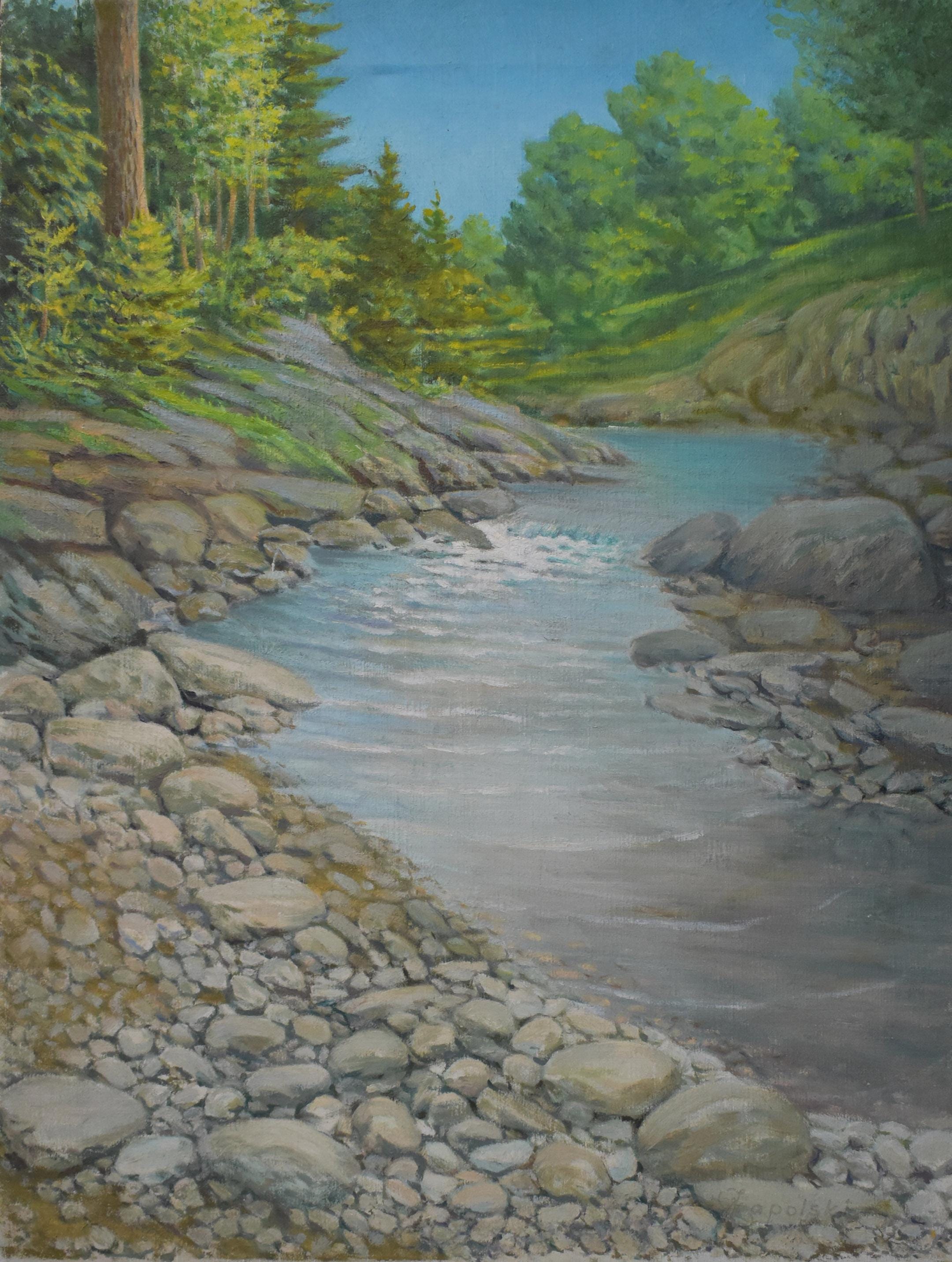 vintage  Poland oil painting winding river trees rocks waterfall signed