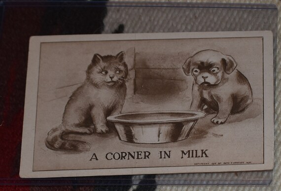 vintage    post cards six kitten vintage cats and puppy  post cards artist Vincent v Colby ca 1909