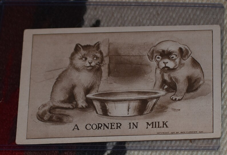 May include: A black and white vintage postcard featuring a cat and a dog looking at a bowl of milk. The text on the postcard reads "A Corner in Milk".