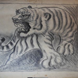 vintage   large    tiger   drawing   ca.1900