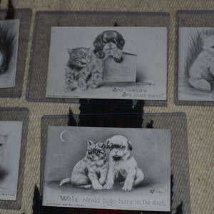 May include: A set of ten vintage black and white postcards featuring kittens and puppies. The postcards have a variety of cute and humorous captions, such as "She loves me, he loves me not" and "Can I play in your yard?"