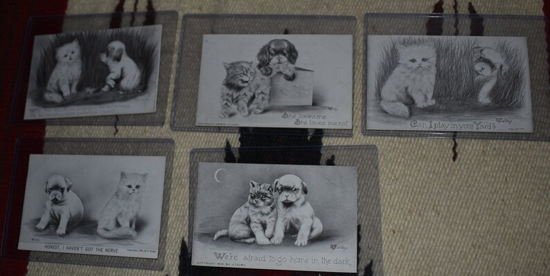 May include: A set of ten vintage black and white postcards featuring kittens and puppies. The postcards have a variety of cute and humorous captions, such as "She loves me, he loves me not" and "Can I play in your yard?"