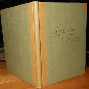 vintage    color ill  poetry book titled The Language of Flowers   e. p. Dutton new York