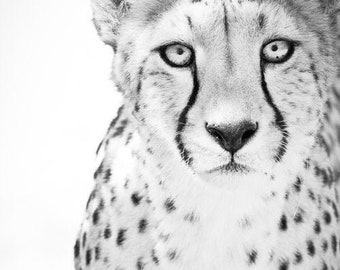 Cheetah Art Photograph - Black and White Photography - Nature Wall Decor - Monochrome Fine Art - Animal Photography