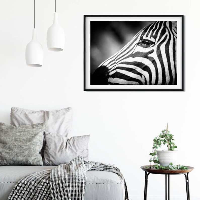 Zebra Fine Art Photography Wildlife Art Modern Wall Art Black and White Photo Monochrome Wild Animal image 2