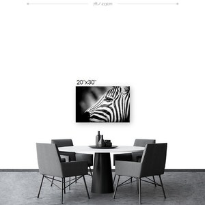 Zebra Fine Art Photography Wildlife Art Modern Wall Art Black and White Photo Monochrome Wild Animal image 6