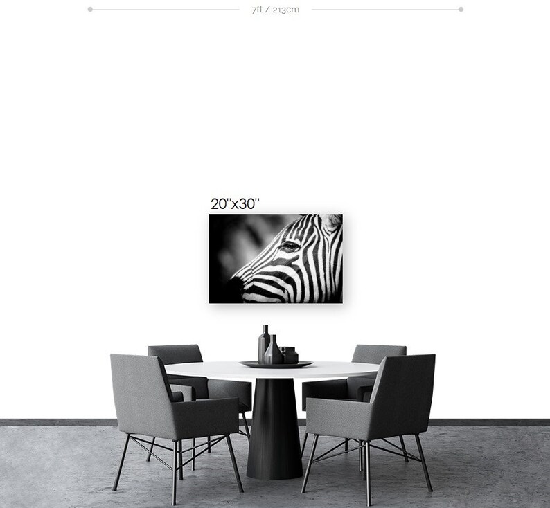 Zebra Fine Art Photography Wildlife Art Modern Wall Art Black and White Photo Monochrome Wild Animal image 6