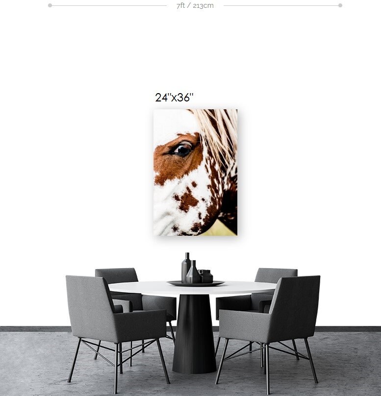 wild-horse-fine-art-photography-horse-wall-decor-north-dakota-wildlife